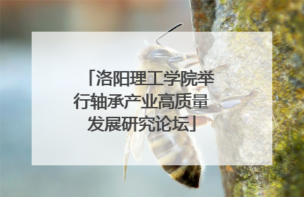 洛阳理工学院举行轴承产业高质量发展研究论坛