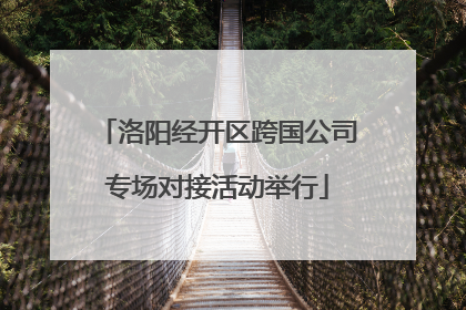 洛阳经开区跨国公司专场对接活动举行