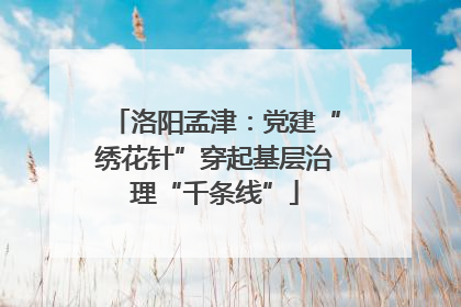 洛阳孟津：党建“绣花针”穿起基层治理“千条线”