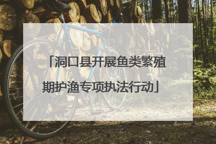 洞口县开展鱼类繁殖期护渔专项执法行动