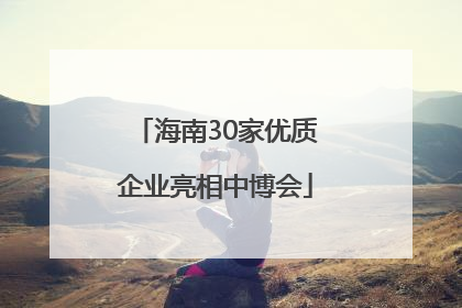 海南30家优质企业亮相中博会