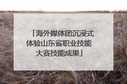 海外媒体团沉浸式体验山东省职业技能大赛技能成果