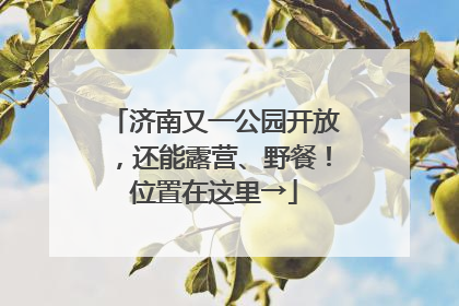 济南又一公园开放，还能露营、野餐！位置在这里→