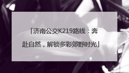 济南公交K219路线：奔赴自然，解锁多彩郊野时光