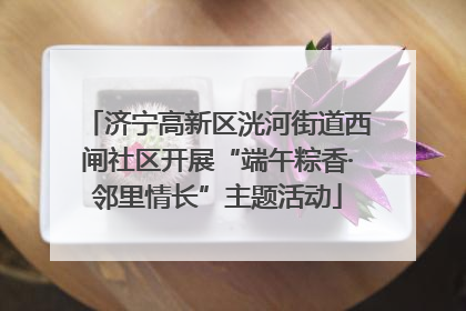 济宁高新区洸河街道西闸社区开展“端午粽香·邻里情长”主题活动