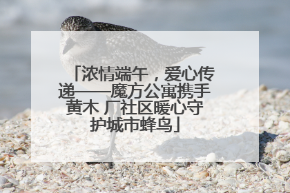 浓情端午，爱心传递——魔方公寓携手黄木 厂社区暖心守护城市蜂鸟
