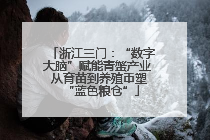 浙江三门：“数字大脑”赋能青蟹产业 从育苗到养殖重塑“蓝色粮仓”