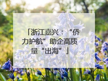 浙江嘉兴：“侨力护航”助企高质量“出海”