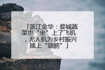 浙江金华：婺城蔬菜也“坐”上了飞机，无人机为乡村振兴插上“翅膀”