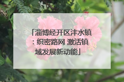 淄博经开区沣水镇：织密路网 激活镇域发展新动能