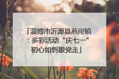 淄博市沂源县燕崖镇：多彩活动“庆七一” 初心如磐跟党走