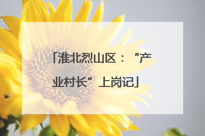 淮北烈山区：“产业村长”上岗记