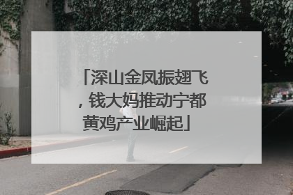 深山金凤振翅飞，钱大妈推动宁都黄鸡产业崛起