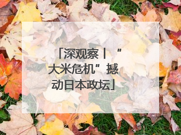 深观察丨“大米危机”撼动日本政坛