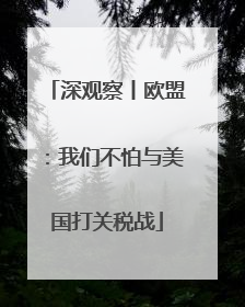 深观察丨欧盟：我们不怕与美国打关税战