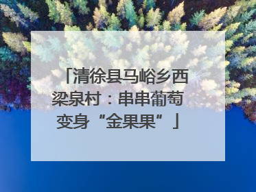 清徐县马峪乡西梁泉村：串串葡萄变身“金果果”