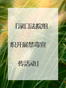 渌口法院组织开展禁毒宣传活动