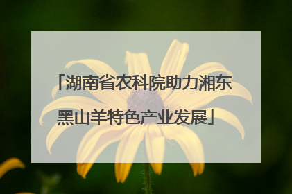湖南省农科院助力湘东黑山羊特色产业发展