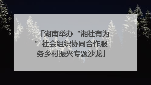 湖南举办“湘社有为”社会组织协同合作服务乡村振兴专题沙龙