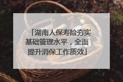 湖南人保寿险夯实基础管理水平，全面提升消保工作质效