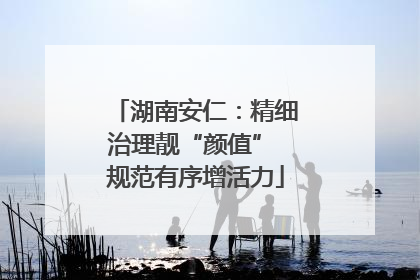 湖南安仁：精细治理靓“颜值” 规范有序增活力