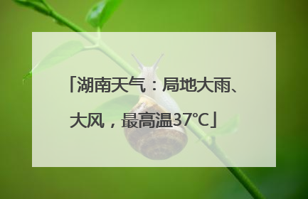 湖南天气：局地大雨、大风，最高温37℃