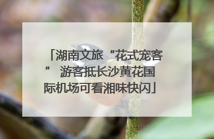 湖南文旅“花式宠客” 游客抵长沙黄花国际机场可看湘味快闪