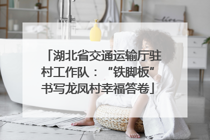 湖北省交通运输厅驻村工作队：“铁脚板”书写龙凤村幸福答卷