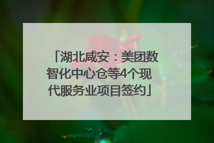 湖北咸安：美团数智化中心仓等4个现代服务业项目签约