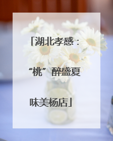 湖北孝感：“桃”醉盛夏 味美杨店