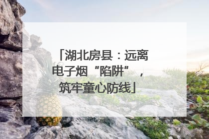 湖北房县：远离电子烟“陷阱”，筑牢童心防线