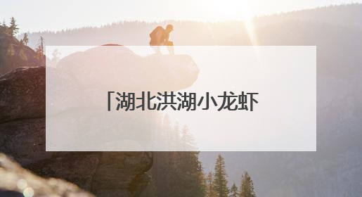 湖北洪湖小龙虾圈粉美国小伙埃文凯尔 沉浸式体验捕捞和爆炒小龙虾 最爱麻辣味