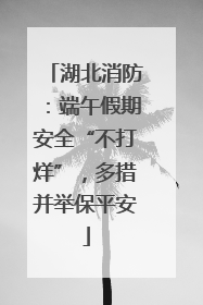 湖北消防：端午假期安全“不打烊”，多措并举保平安