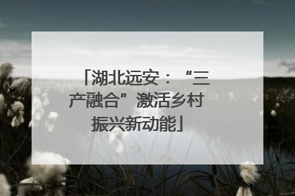 湖北远安：“三产融合”激活乡村振兴新动能