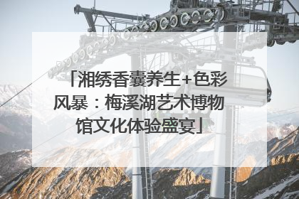 湘绣香囊养生+色彩风暴：梅溪湖艺术博物馆文化体验盛宴