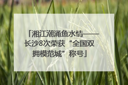 湘江潮涌鱼水情——长沙8次荣获“全国双拥模范城”称号