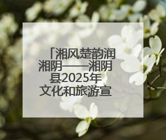 湘风楚韵润湘阴——湘阴县2025年文化和旅游宣传周见闻