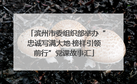 滨州市委组织部举办“忠诚写满大地·榜样引领前行”党课故事汇