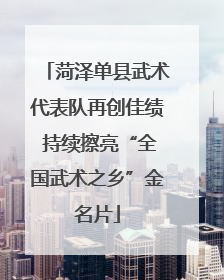 菏泽单县武术代表队再创佳绩 持续擦亮“全国武术之乡”金名片