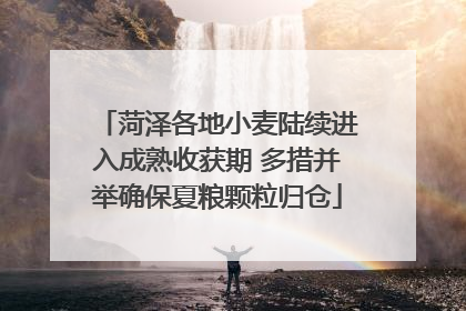 菏泽各地小麦陆续进入成熟收获期 多措并举确保夏粮颗粒归仓
