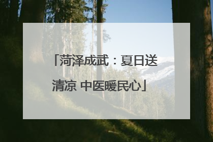 菏泽成武：夏日送清凉 中医暖民心