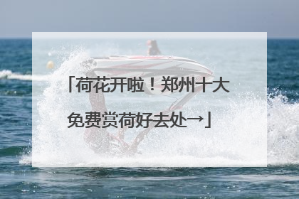 荷花开啦！郑州十大免费赏荷好去处→