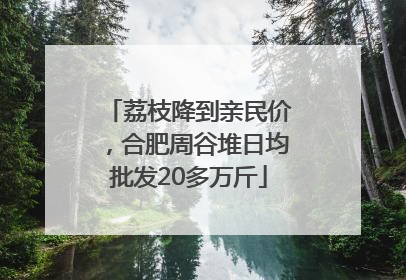 荔枝降到亲民价，合肥周谷堆日均批发20多万斤