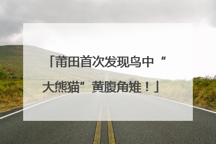 莆田首次发现鸟中“大熊猫”黄腹角雉！