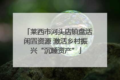 莱西市河头店镇盘活闲置资源 激活乡村振兴“沉睡资产”