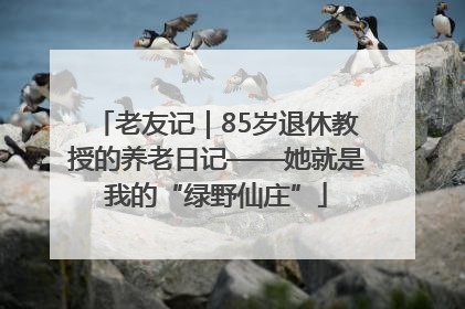 老友记｜85岁退休教授的养老日记——她就是我的“绿野仙庄”