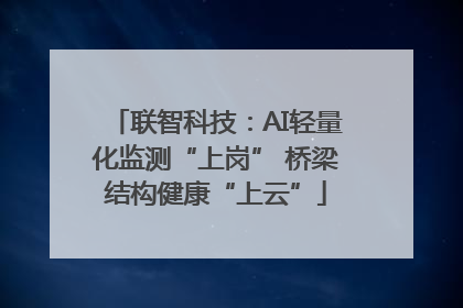 联智科技：AI轻量化监测“上岗” 桥梁结构健康“上云”