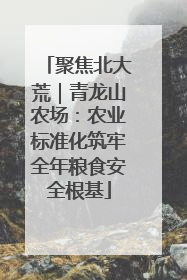 聚焦北大荒｜青龙山农场：农业标准化筑牢全年粮食安全根基
