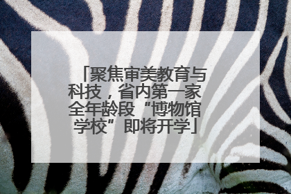 聚焦审美教育与科技，省内第一家全年龄段“博物馆学校”即将开学
