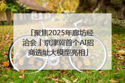 聚焦2025年廊坊经洽会丨京津冀首个AI招商选址大模型亮相